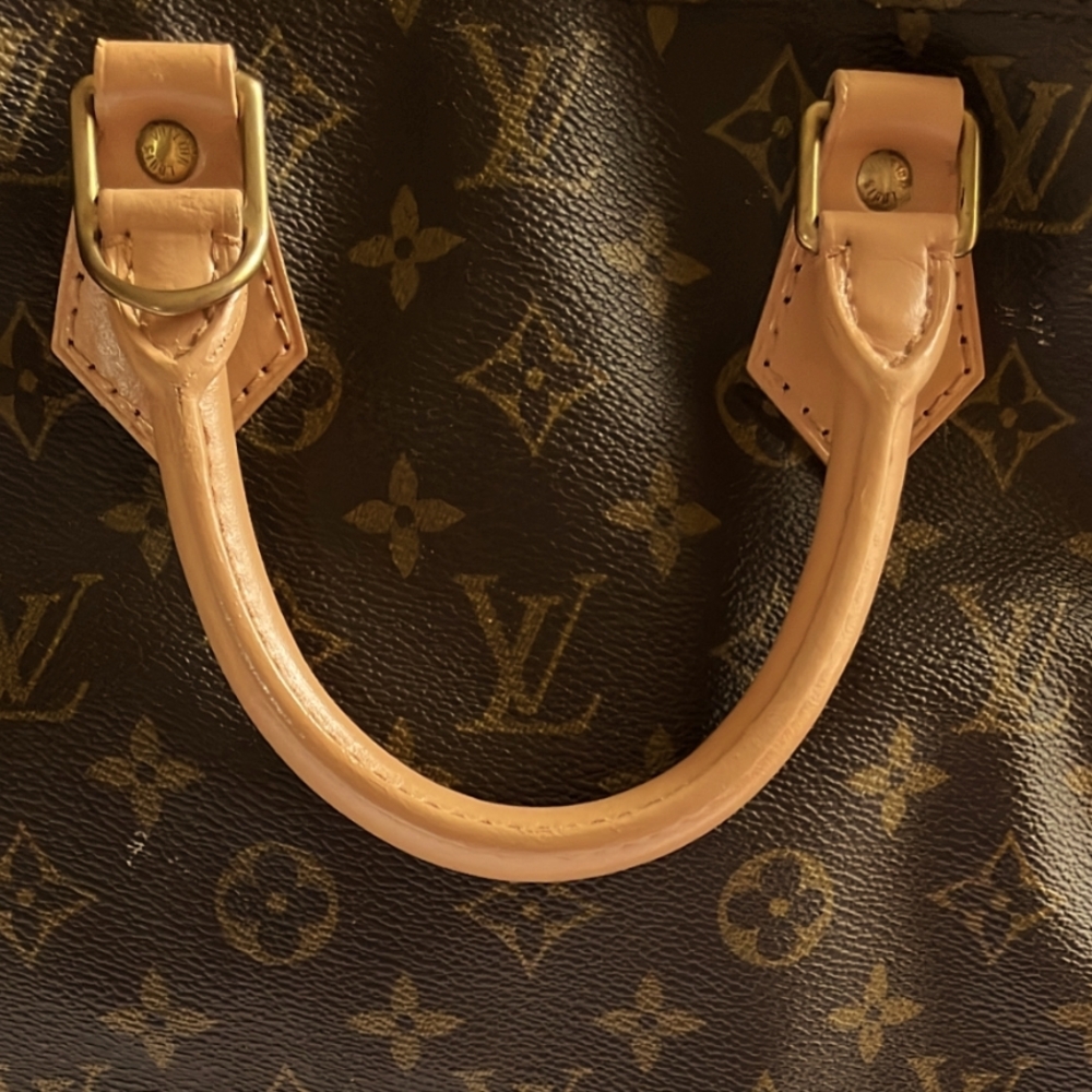 Louis Vuitton Brown Bag